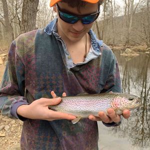 Meet your Posher, Miles